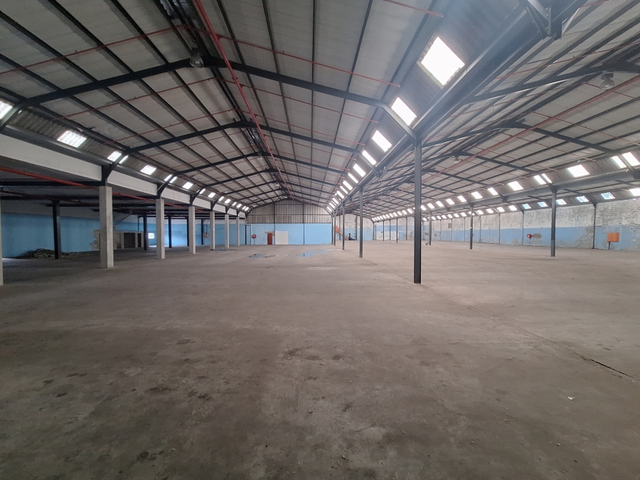 To Let commercial Property for Rent in Brackenfell Industrial Western Cape